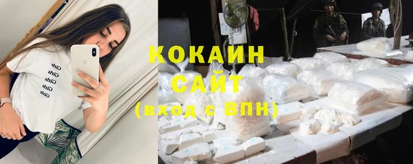 стаф Новодвинск