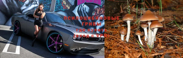 героин Няндома