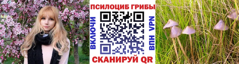 кракен рабочий сайт  Раменское  маркетплейс как зайти  Псилоцибиновые грибы мицелий 