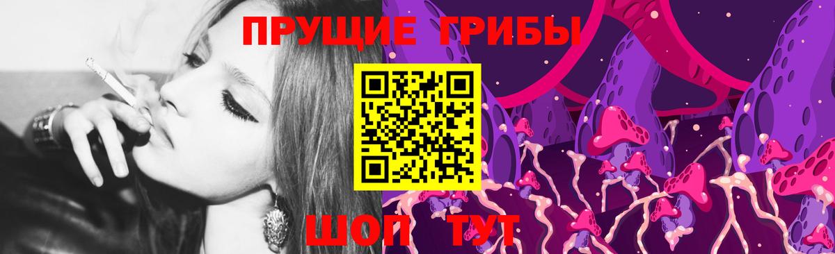 Раменское  Галлюциногенные грибы GOLDEN TEACHER  Вход с VPN  Галлюциногенные грибы Psilocybine cubensis 